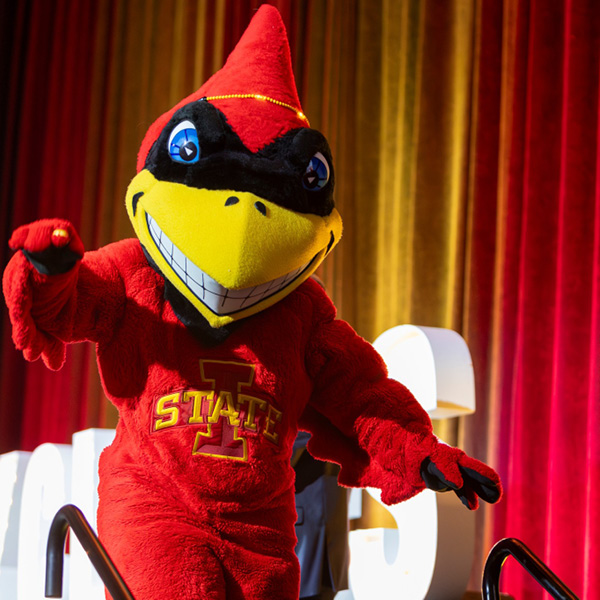 Mascot Cy at Cardinal and Gold Gala in 2025