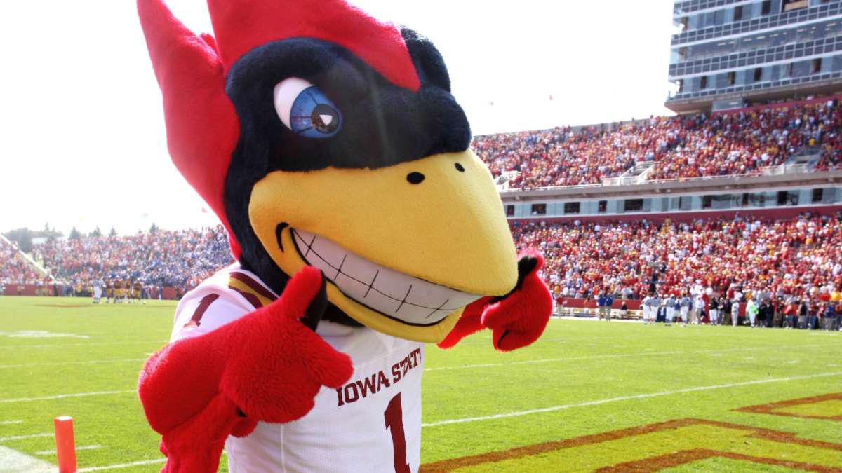 Iowa State Mascot Cy