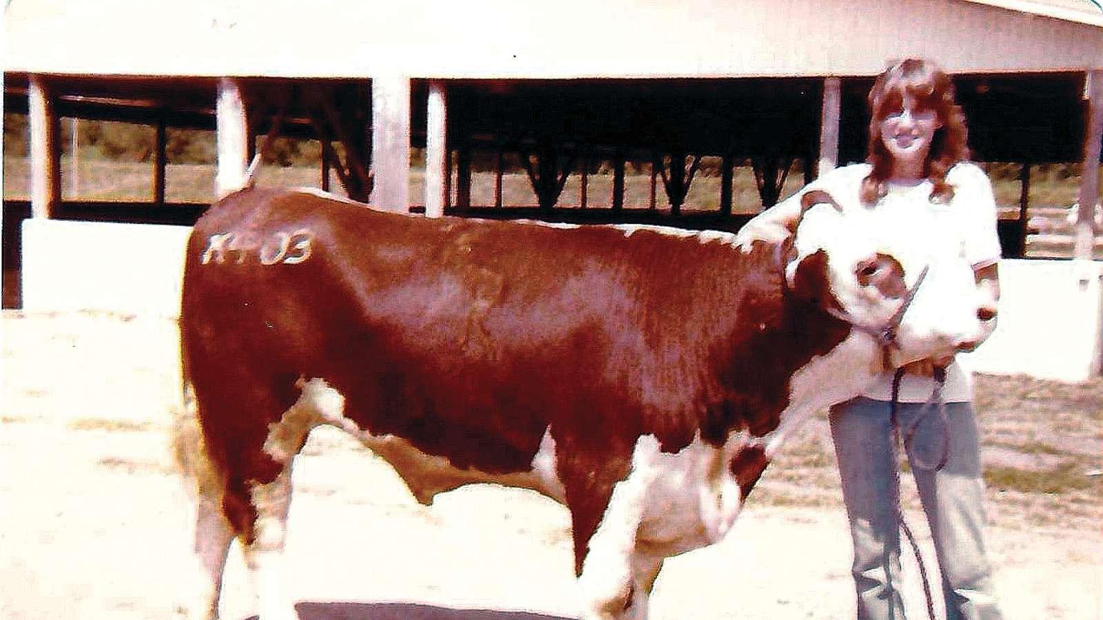 Eileen showing steer at livestock competition